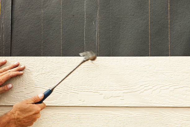 Affordable Siding Repair and Maintenance Services in Federal Heights, CO